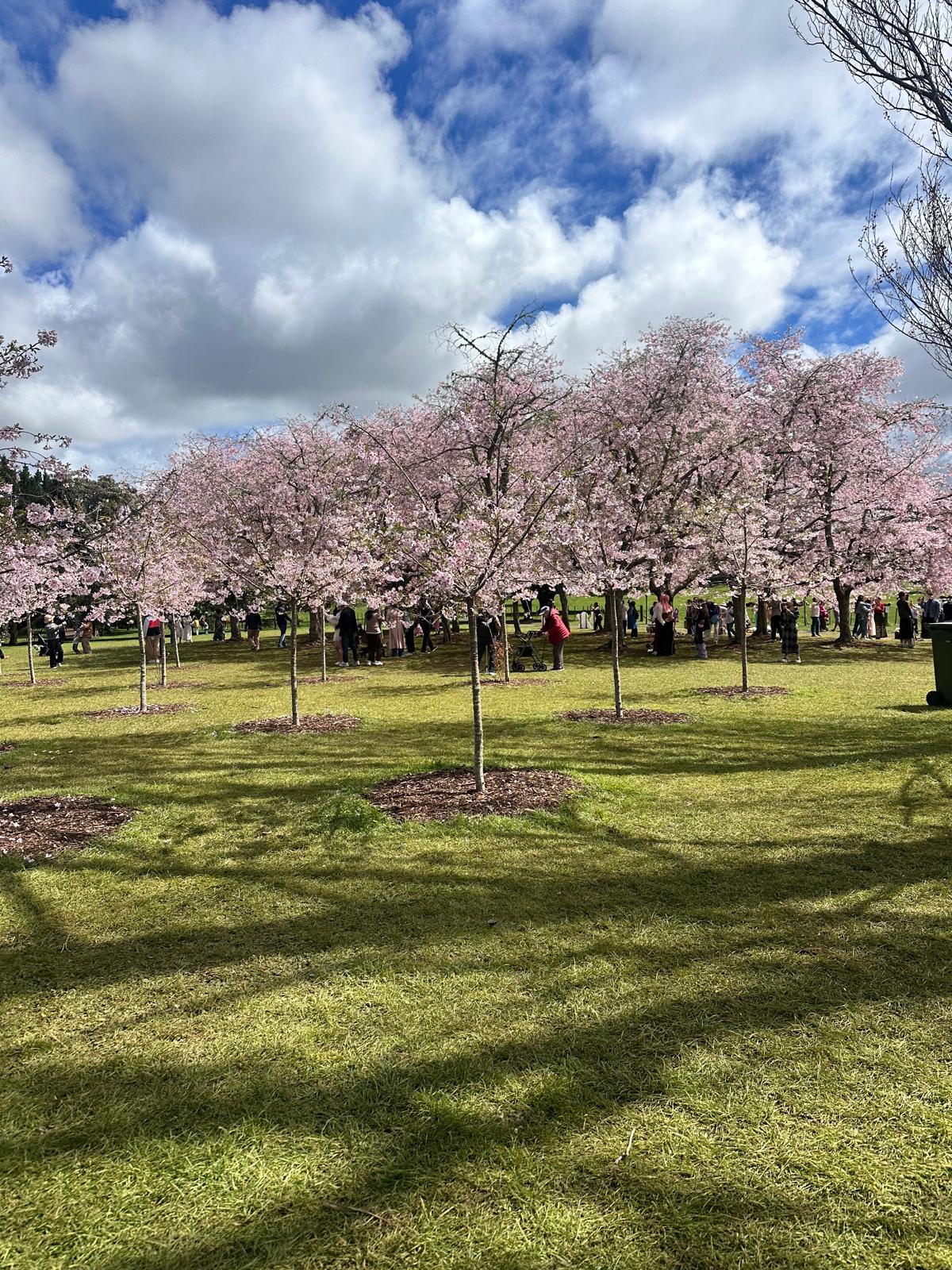 Maygrove residents enjoying a beautiful outdoor setting during their weekly outing, creating happy memories together.